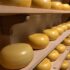 Queso Gouda: Tradición Holandesa en la Gastronomía Latinoamericana