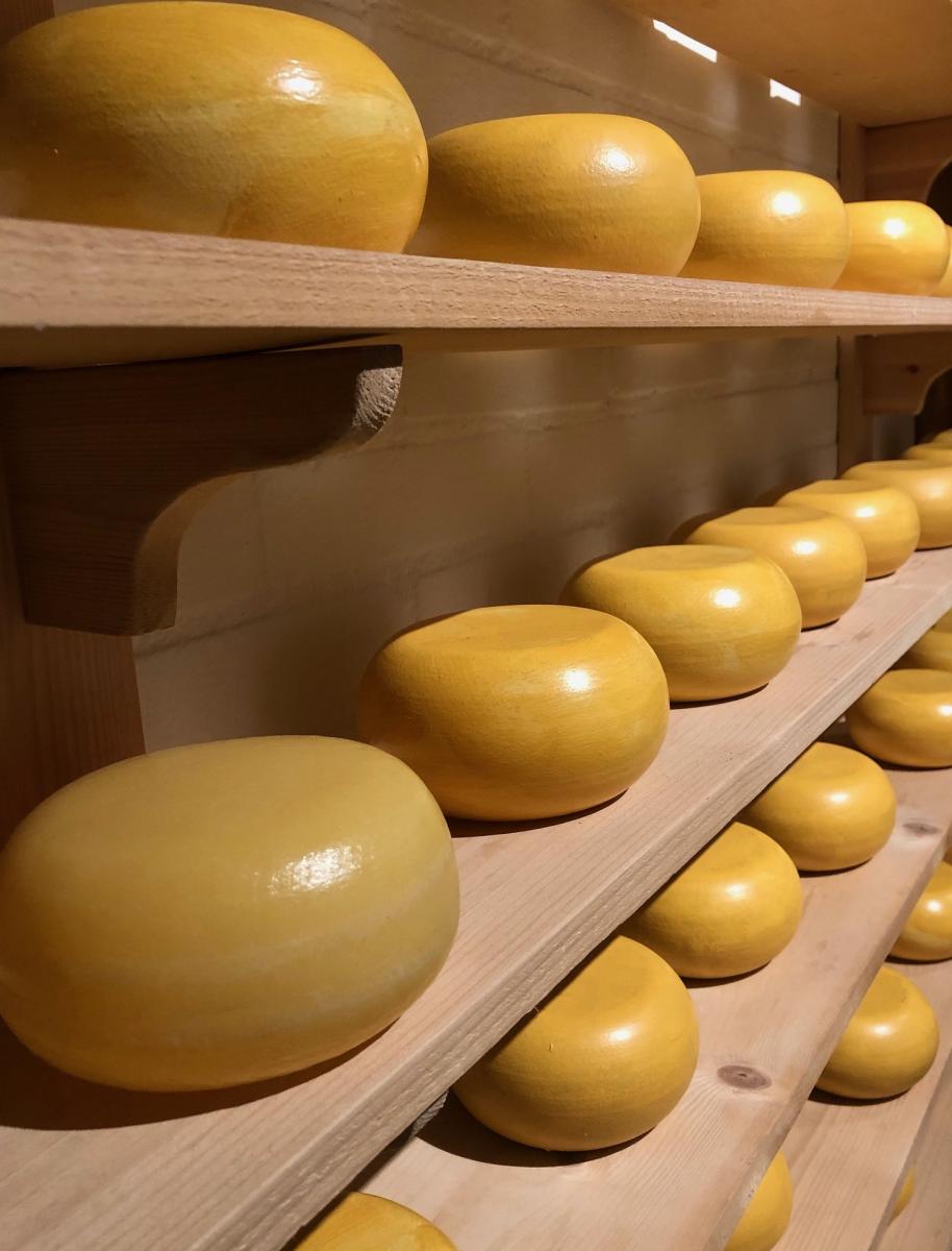 Queso Gouda: Tradición Holandesa en la Gastronomía Latinoamericana. Imagem de iphotoklick por Pixabay.